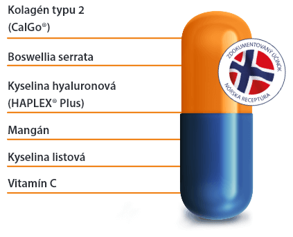 Movisan schema